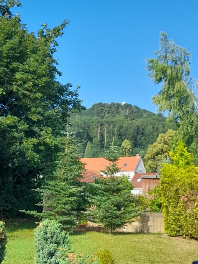 Burghof Ferienwohnungen Goerlitz Zewnętrze zdjęcie